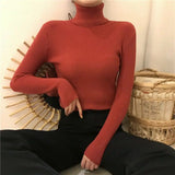 Mojoyce Multicolour Turtleneck Elastic Pullovers Women Solid Color Simple Basic Sweaters Female Korean Fashion Slim Soft Tops Knitwear